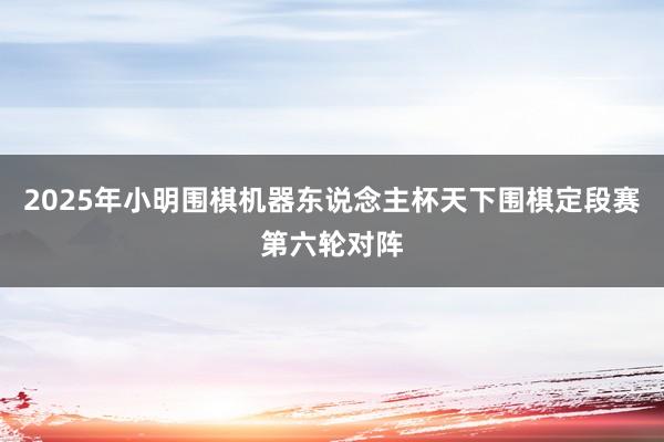 2025年小明围棋机器东说念主杯天下围棋定段赛第六轮对阵