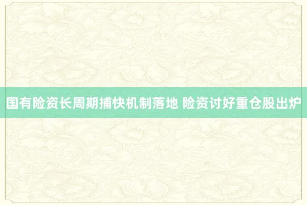 国有险资长周期捕快机制落地 险资讨好重仓股出炉