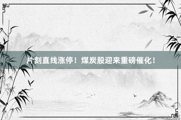 片刻直线涨停！煤炭股迎来重磅催化！