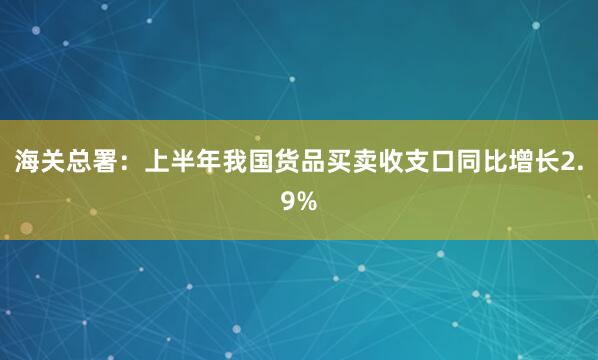 海关总署：上半年我国货品买卖收支口同比增长2.9%