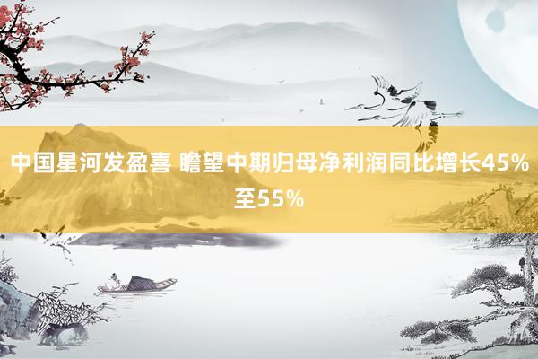 中国星河发盈喜 瞻望中期归母净利润同比增长45%至55%