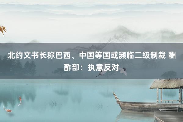 北约文书长称巴西、中国等国或濒临二级制裁 酬酢部：执意反对
