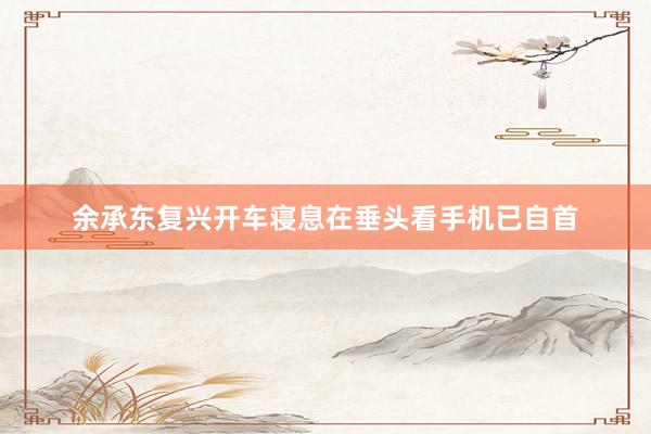 余承东复兴开车寝息在垂头看手机已自首
