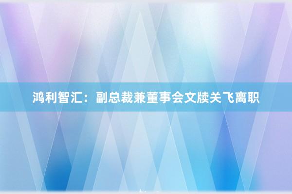 鸿利智汇：副总裁兼董事会文牍关飞离职