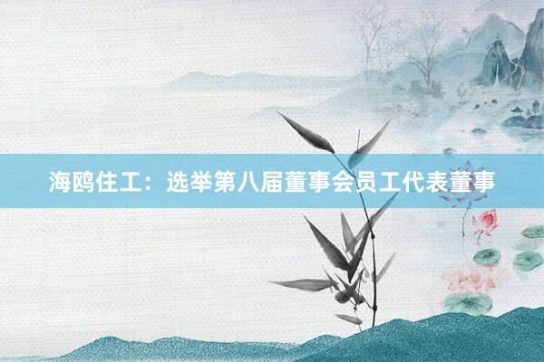 海鸥住工：选举第八届董事会员工代表董事