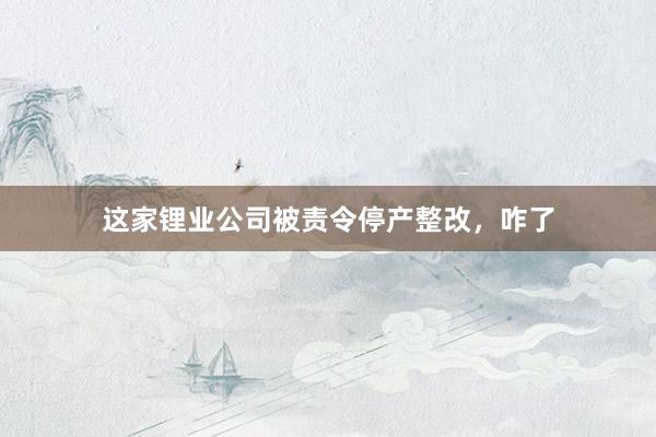 这家锂业公司被责令停产整改，咋了