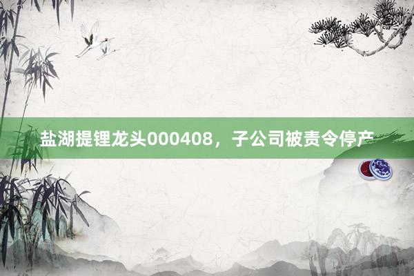 盐湖提锂龙头000408，子公司被责令停产