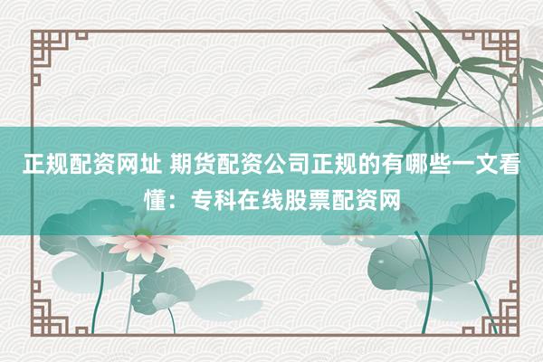 正规配资网址 期货配资公司正规的有哪些一文看懂：专科在线股票配资网
