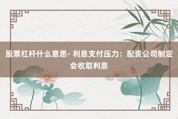 股票杠杆什么意思- 利息支付压力：配资公司制定会收取利息