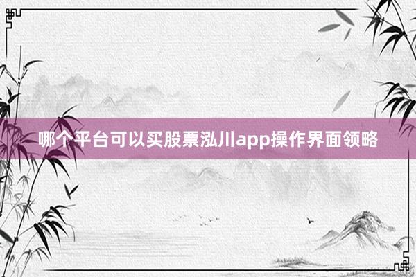 哪个平台可以买股票泓川app操作界面领略
