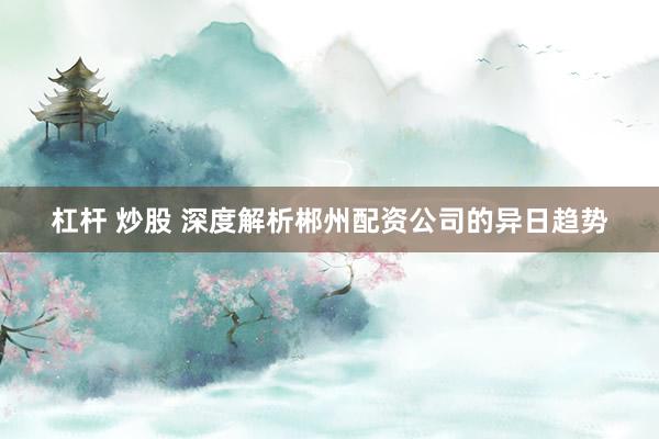 杠杆 炒股 深度解析郴州配资公司的异日趋势