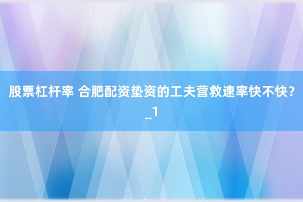 股票杠杆率 合肥配资垫资的工夫营救速率快不快？_1