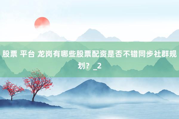 股票 平台 龙岗有哪些股票配资是否不错同步社群规划？_2