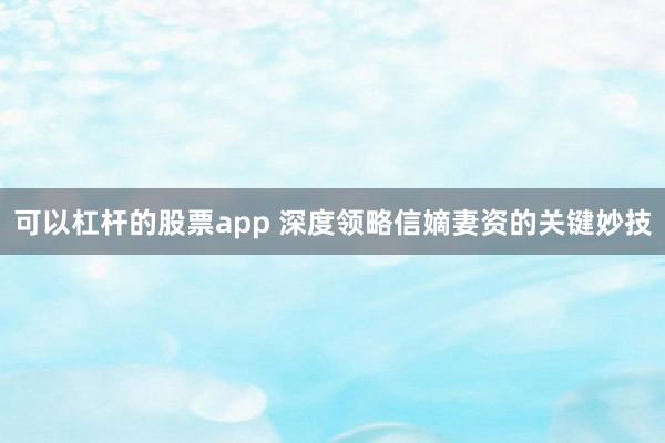 可以杠杆的股票app 深度领略信嫡妻资的关键妙技