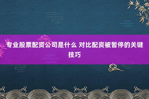 专业股票配资公司是什么 对比配资被暂停的关键技巧