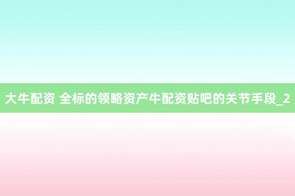 大牛配资 全标的领略资产牛配资贴吧的关节手段_2