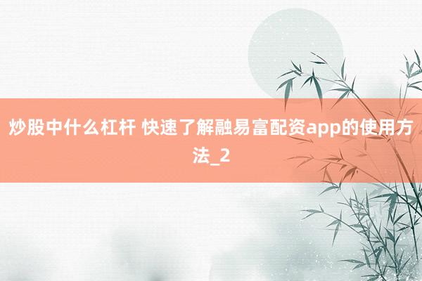 炒股中什么杠杆 快速了解融易富配资app的使用方法_2