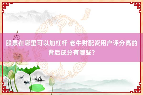 股票在哪里可以加杠杆 老牛财配资用户评分高的背后成分有哪些？