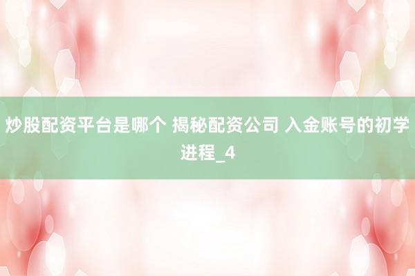 炒股配资平台是哪个 揭秘配资公司 入金账号的初学进程_4