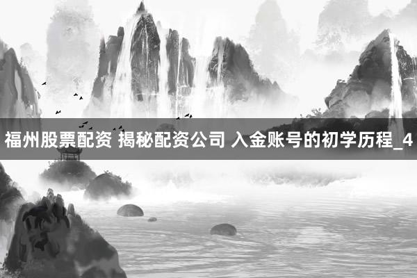 福州股票配资 揭秘配资公司 入金账号的初学历程_4