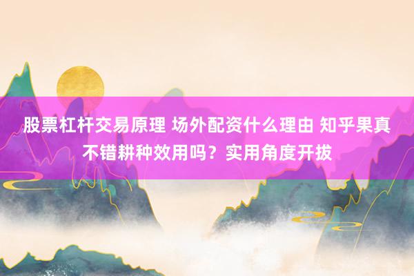 股票杠杆交易原理 场外配资什么理由 知乎果真不错耕种效用吗？实用角度开拔