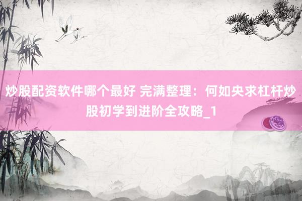 炒股配资软件哪个最好 完满整理：何如央求杠杆炒股初学到进阶全攻略_1