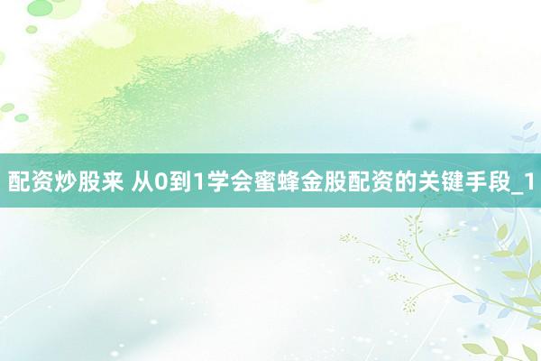 配资炒股来 从0到1学会蜜蜂金股配资的关键手段_1